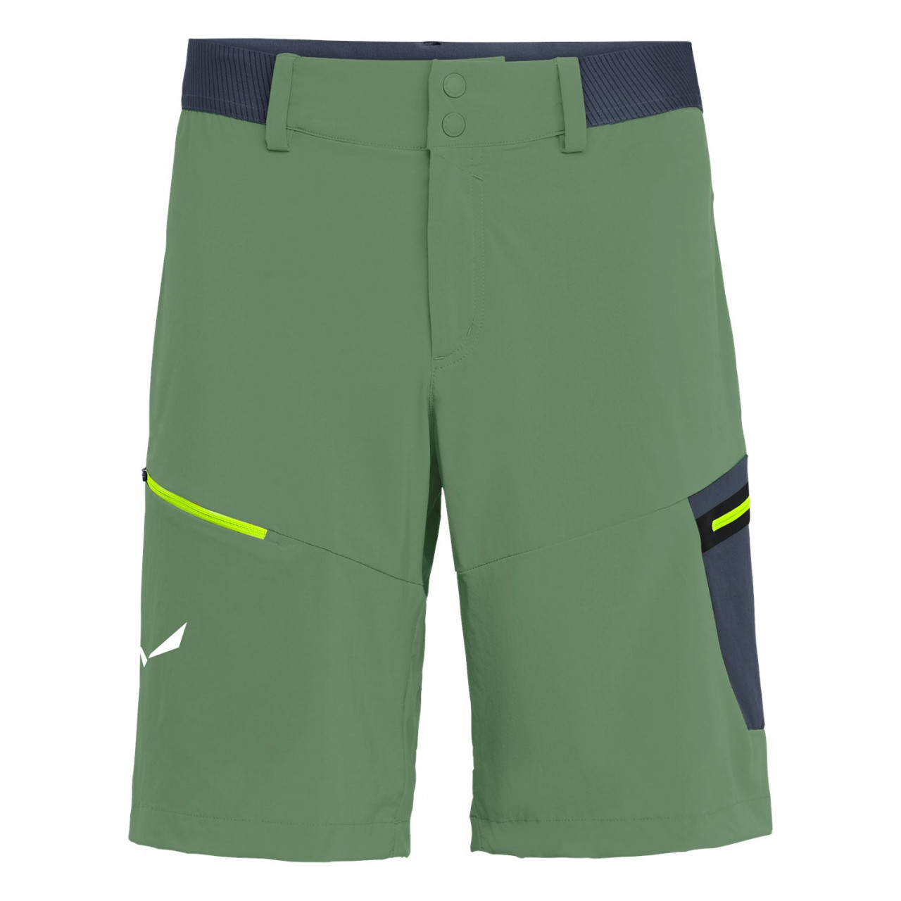 Salewa Men's PEDROC CARGO 2 DST Shorts Green JRU-270195